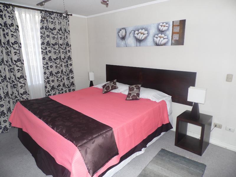 Santiago Apartamentos Centro Ngoại thất bức ảnh